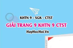 Giải KHTN 9 trang 9 Chân trời sáng tạo SGK